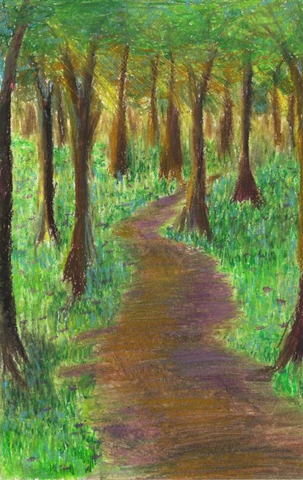 twilight forest
