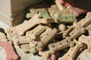 dogfood