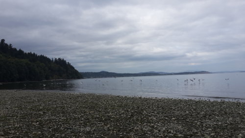 Mt. Doug