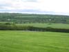 Green fields in Ireland