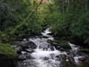 Creek in Kilkenny