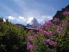 The Matterhorn